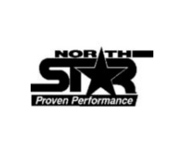 NORTHSTAR 5000 PSI GASOLINE PRESSURE WASHER (IND5707)