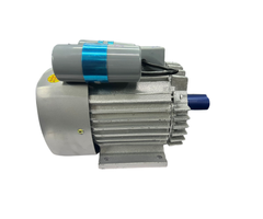 BETA STAR IND5779 ELECTRIC MOTOR FOR COCONUT SHREDDER,# IR-YR190, 110V 60HZ