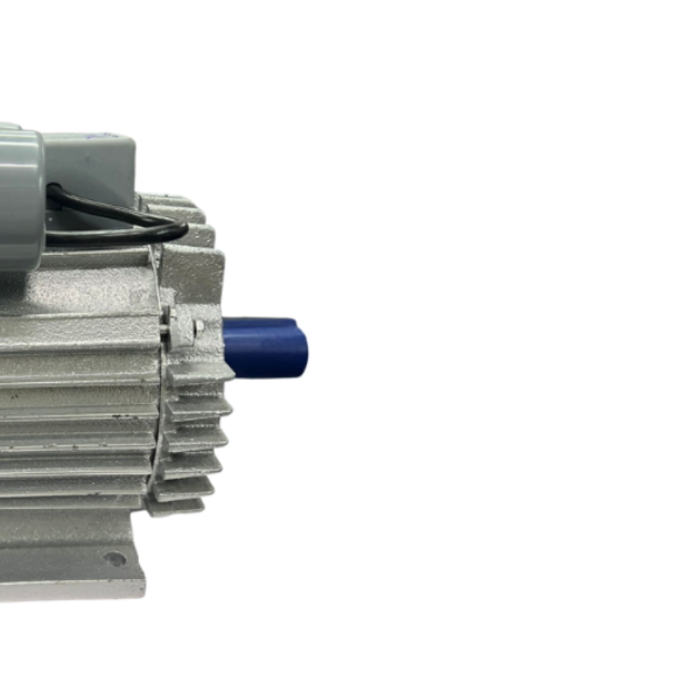 BETA STAR IND5779 ELECTRIC MOTOR FOR COCONUT SHREDDER,# IR-YR190, 110V 60HZ