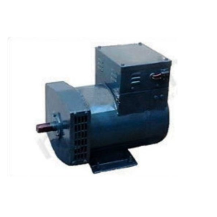 BETA STAR IND9736 SINGLE PHASE 3KVA AC SYNCHRONOUS BELT DRIVE GENERATOR 110V/220V 60HZ-BETA STAR-D/S