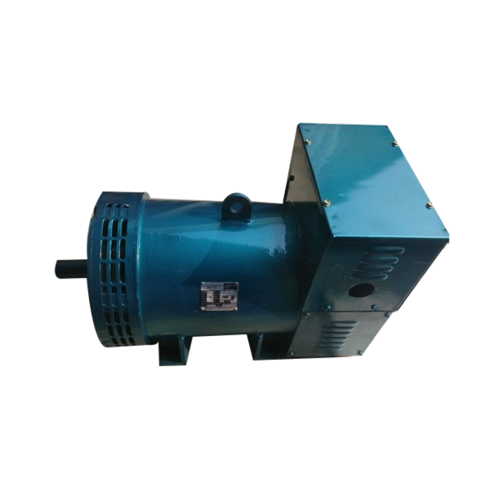 BETA STAR IND9736 BELT GENERATOR ALTERNATOR/SINGLE PHASE 3KVA 110V/220V 60HZ