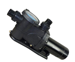 EVERBILT IND9939 2SPEED POOL PUMP 230V EVERBILT SPP100002-2SP