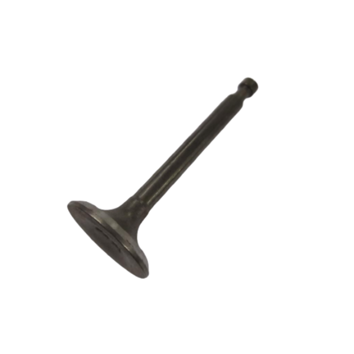 BETA STAR VEH18883 EXHAUST VALVE FOR GE160/200 ENGINE