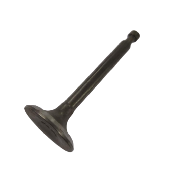 BETA STAR VEH18883 VALVE/EXHAUST GE160/200