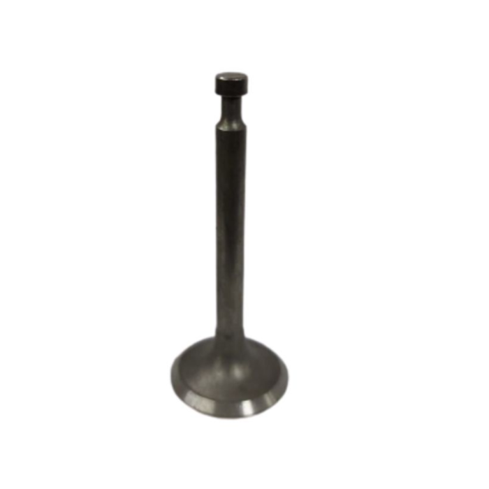 BETA STAR VEH18883 VALVE/EXHAUST GE160/200