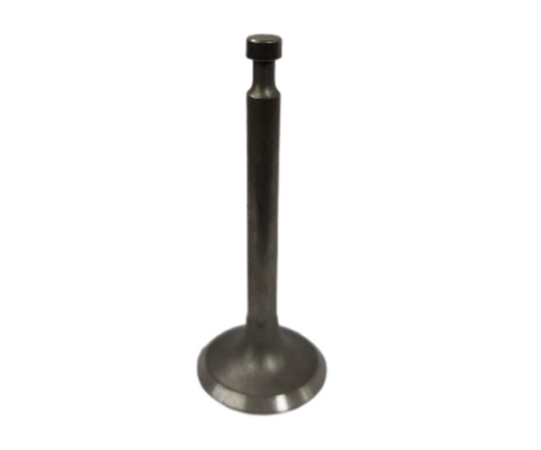 BETA STAR VEH18883 EXHAUST VALVE FOR GE160/200 ENGINE