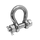 HAR8775 3/4" STAINLESS STEEL SHACKLE