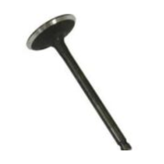 VEH19034 VALVE/EXHAUST GE340/390