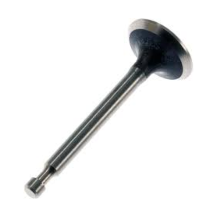 VEH19072 VALVE/EXHAUST GE170D/UD170
