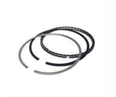 VEH19081 RING/ASSY. 0.10""/0.25 170-WNR