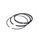 VEH19081 RING/ASSY. 0.10""/0.25 170-WNR