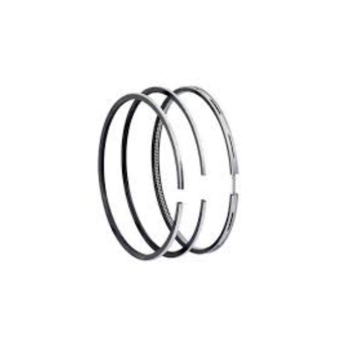 VEH19081 RING/ASSY. 0.10""/0.25 170-WNR