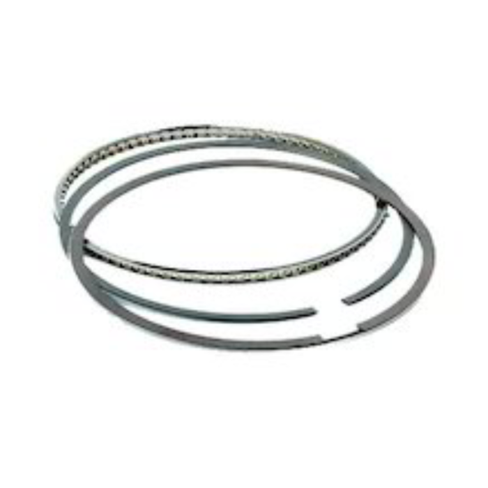 VEH19081 RING/ASSY. 0.10""/0.25 170-WNR