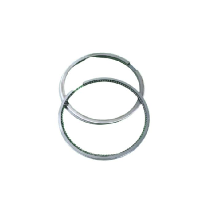 VEH19081 RING/ASSY. 0.10""/0.25 170-WNR