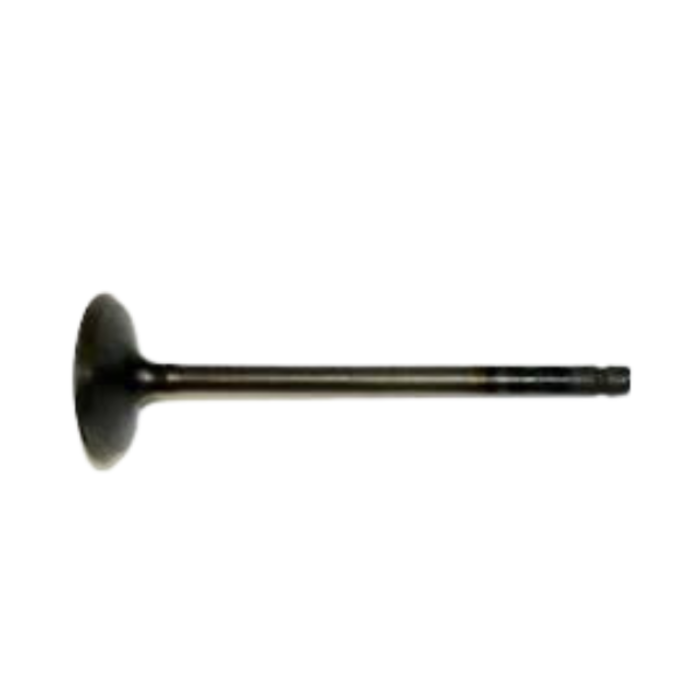 VEH19114 VALVE/EXHAUSTGE178