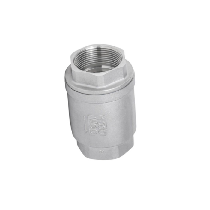 HAR8855 4" ONE CHECK VALVE NPT THREAD SS304 DN100