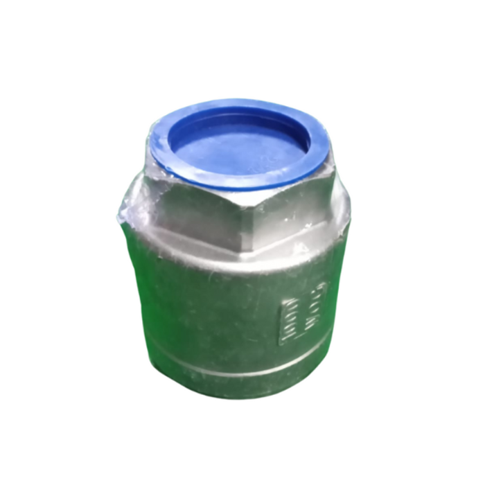 HAR8900  2-1/2'' ONE WAY CHECK VALVE NPT THREAD SS304