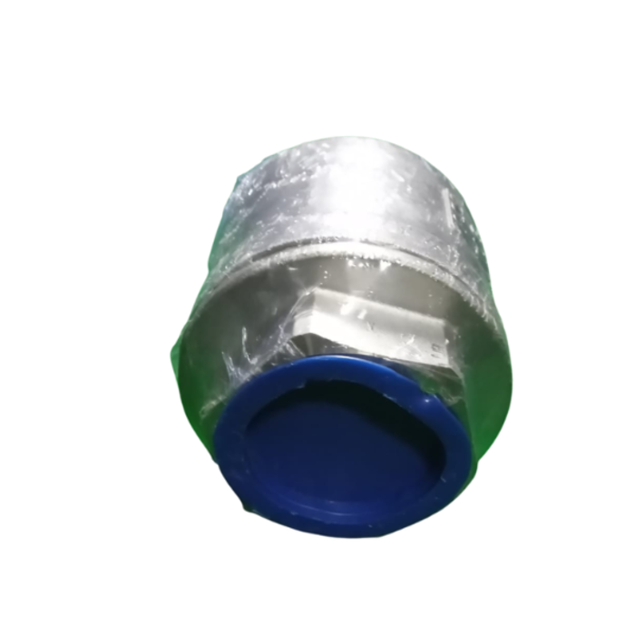 HAR8900  2-1/2'' ONE WAY CHECK VALVE NPT THREAD SS304