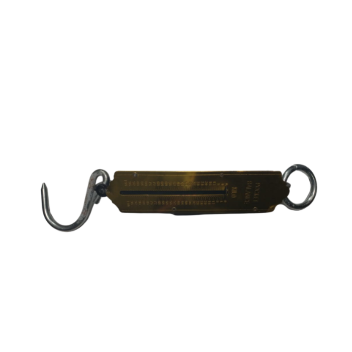 HAR9005 PLATFORM SCALE/HANGING WEIGHING ZZG301 100KG