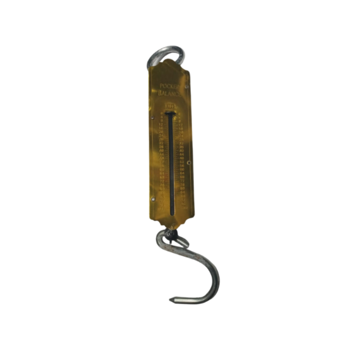 HAR9005 PLATFORM SCALE/HANGING WEIGHING ZZG301 100KG