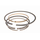 VEH21042 RINGS/PISTON S1100 16HP