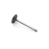 VEH22752 #178 INTAKE VALVE