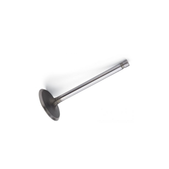 VEH22752 #178 INTAKE VALVE