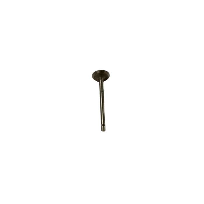 VEH22753 #178 EXHAUST VALVE