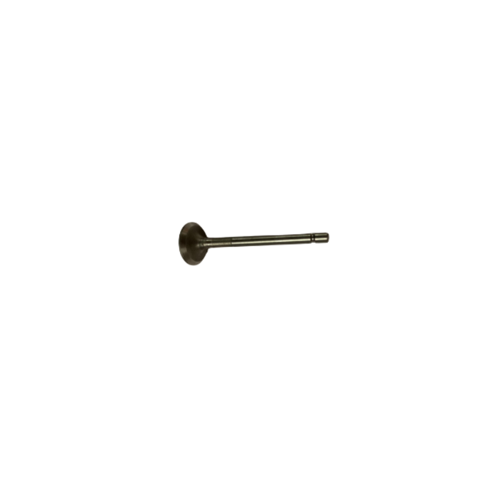 VEH22753 #178 EXHAUST VALVE
