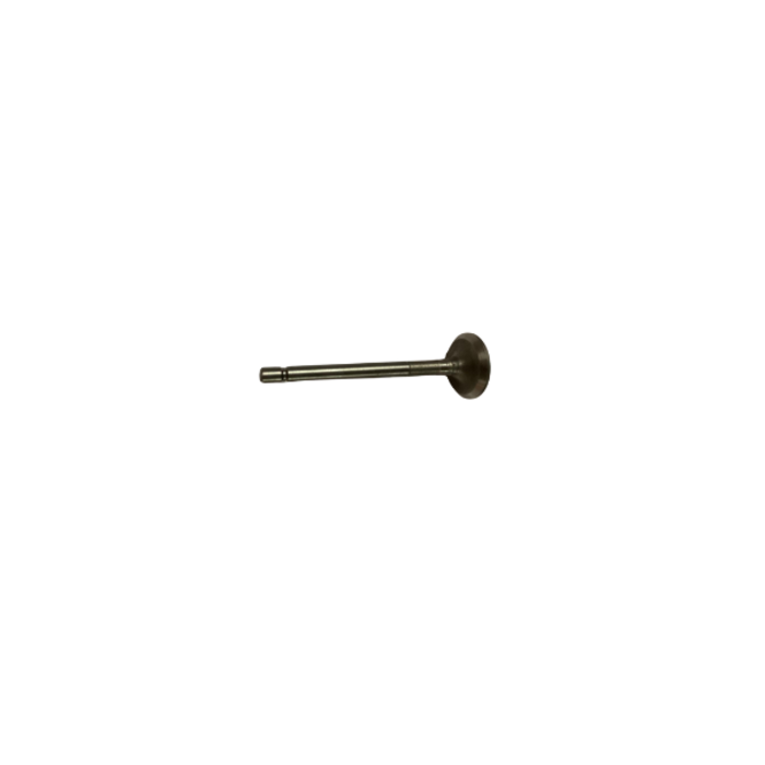 VEH22753 #178 EXHAUST VALVE