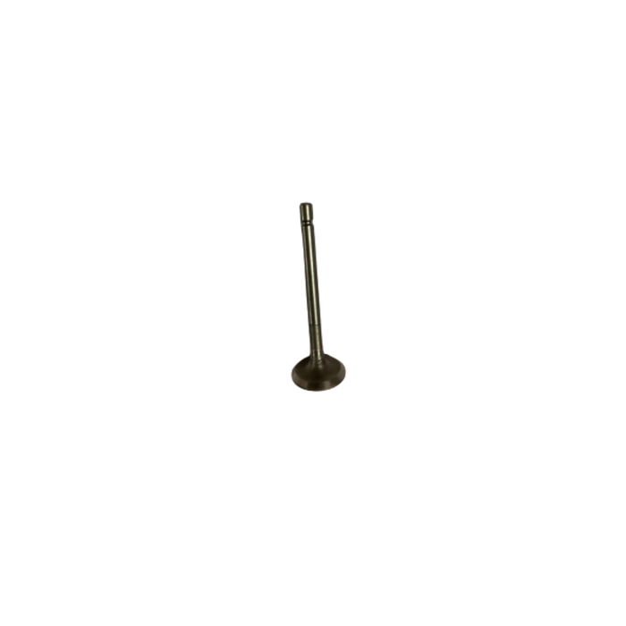 VEH22753 #178 EXHAUST VALVE
