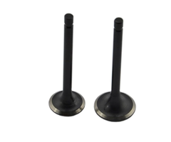 DEUTZ VEH22910 INTAKE AND EXHAUST VALVE FROM 2 TO 6 CYLINDER DUETZ DIESEL ENGINE