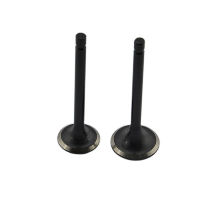 DEUTZ VEH22910 INTAKE AND EXHAUST VALVE FROM 2 TO 6 CYLINDER DUETZ DIESEL ENGINE