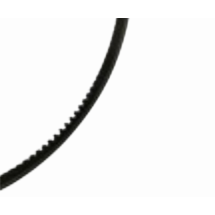 HONDA VEH24004 TERAZZO MACHINE BELT