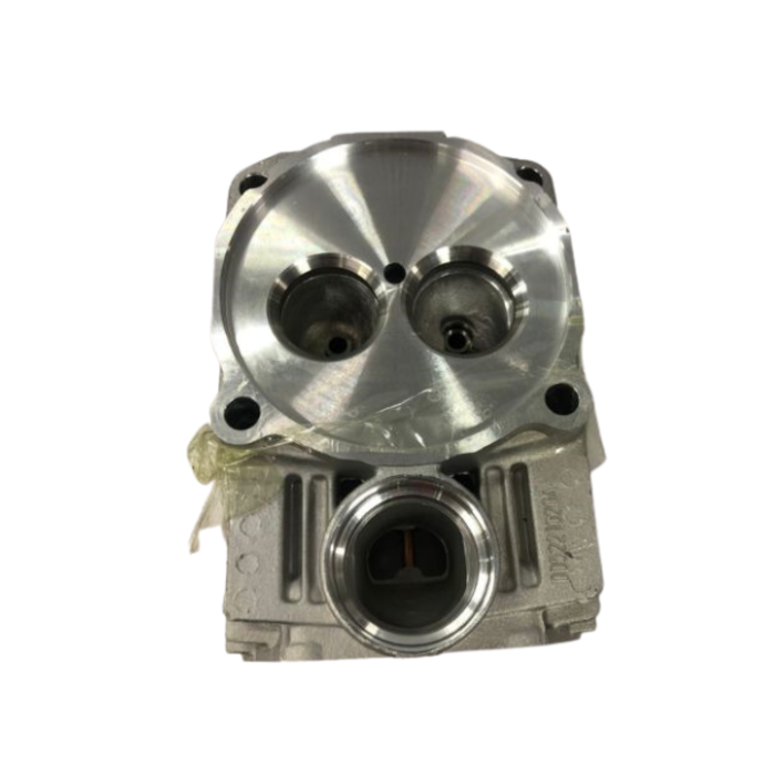 VEH23994 CYLINDER HEAD COMPLETE FOR THE 290F