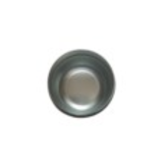 VEH23830 CAPS FOR WHEEL FOR CEMENT MIXER