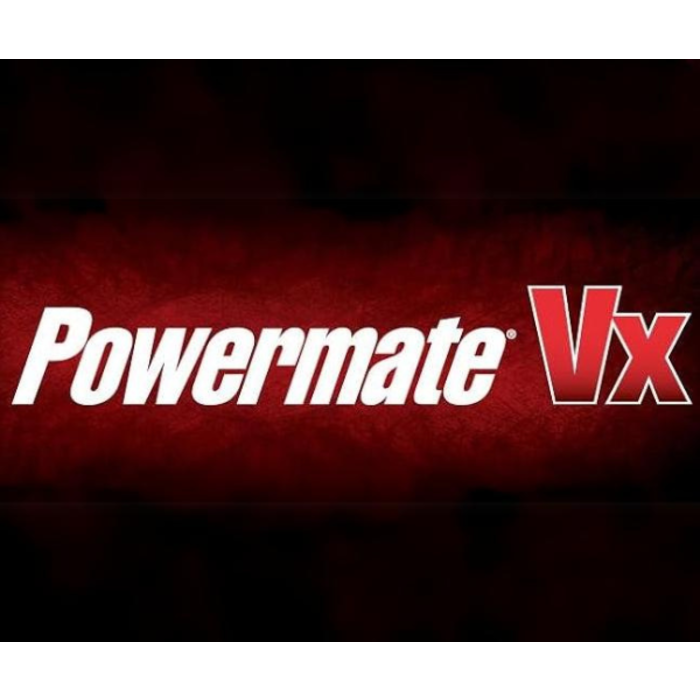 POWERMATE VX HAR9667/POWER MATE VX 024-0299CT AIR NEEDLE SCALER