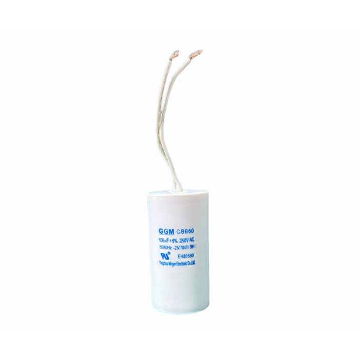 VEH24495/COMPRESSOR MOTOR CAPACITOR  CBB60  100UF/250V