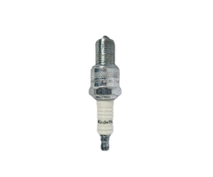 VEH11531 PLUG/SPARK N21 (CHAMPION)