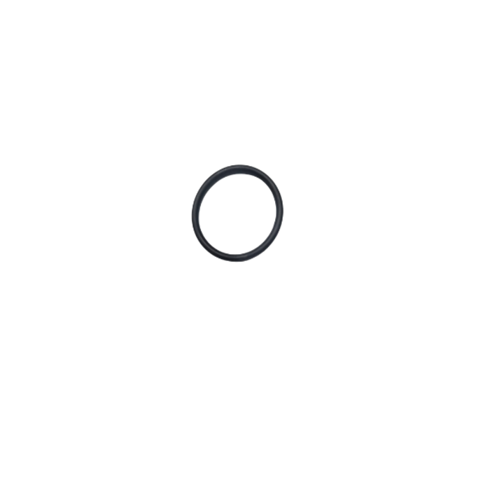 VEH12154 SEAL IN THE FUEL FILTER S1100