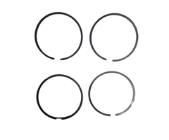 VEH12255 RINGS/PISTON 4100GA