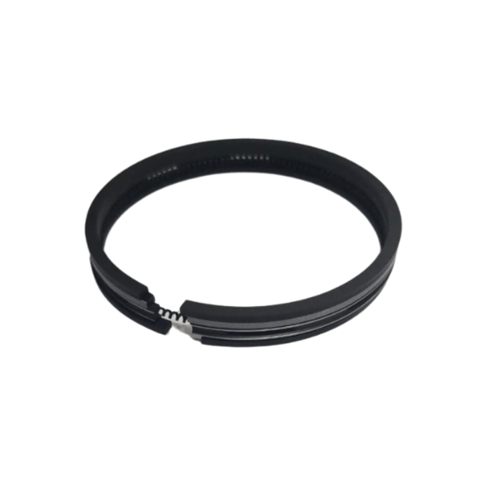 VEH12255 RINGS/PISTON 4100GA