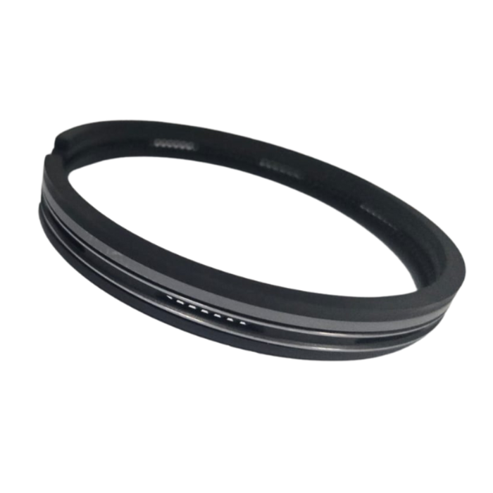 VEH12255 RINGS/PISTON 4100GA