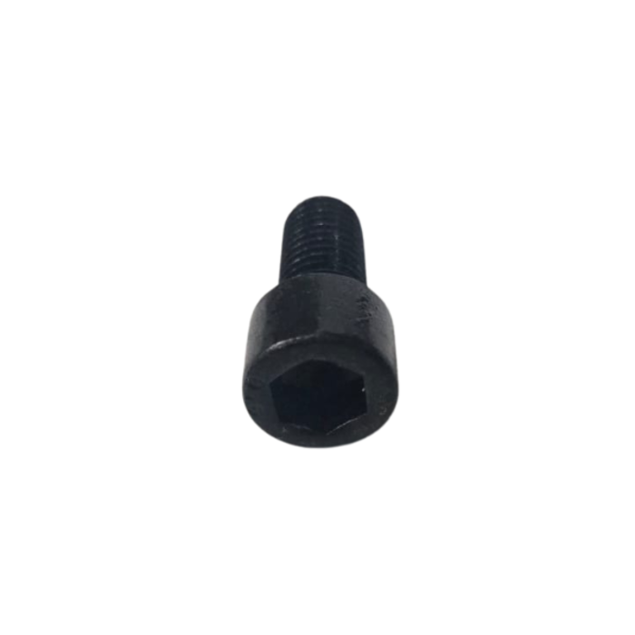 VEH12555 BOLTS M12-1.75 X 25