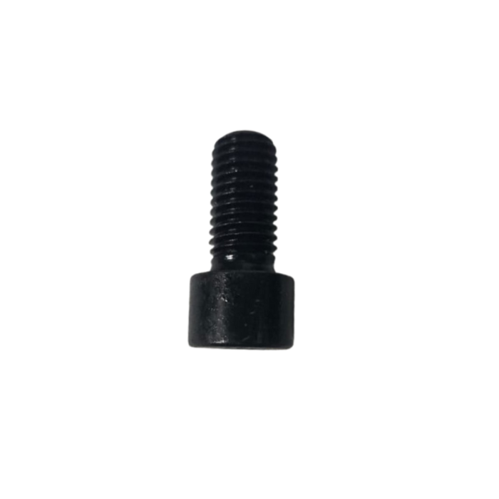 VEH12555 BOLTS M12-1.75 X 25
