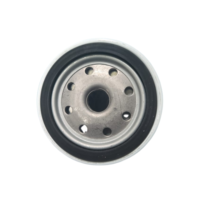 VEH12889 ELEMENT/FUEL FILTER 495GA/41000GA CX0708