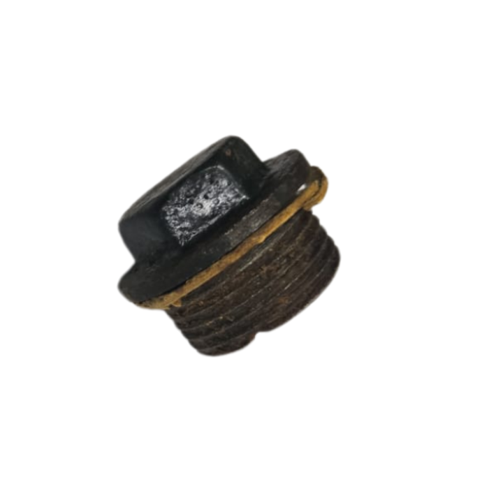 VEH13009 BOLT & NUT -OIL FEEDING6/1