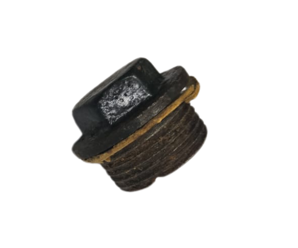 VEH13009 BOLT & NUT -OIL FEEDING 6/1
