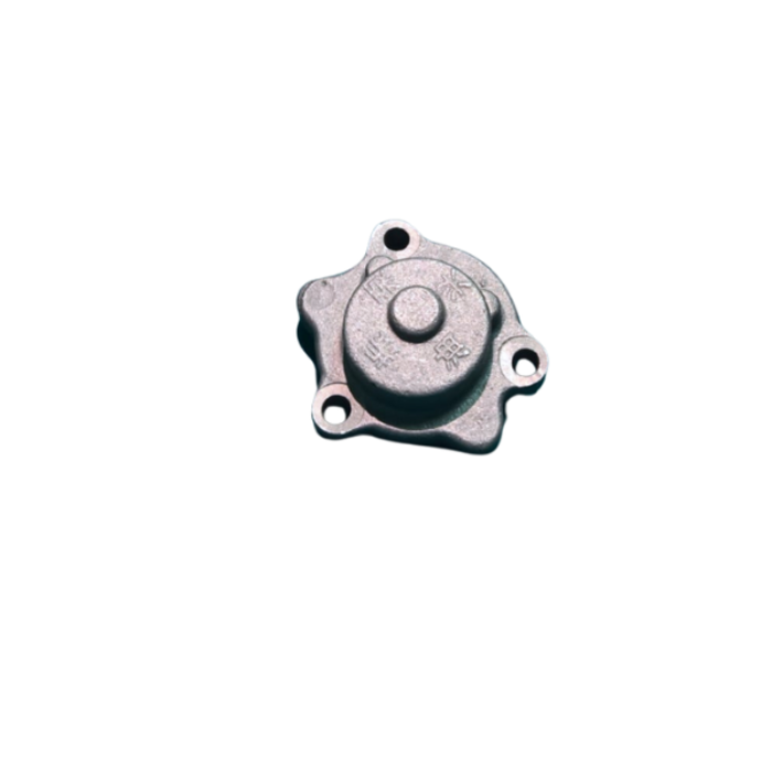 VEH13403 PUMP/OIL #ZH1115