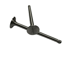 VEH13991 INLET-EXHAUST VALVE SET FOR 6/1 ENGINE 6HP 650RPM (PAIR) 010-03121